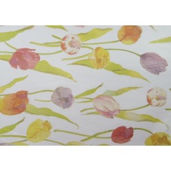 Seda Decorada 49x69cm C/25 folhas